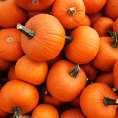 AJspumpkinco.com